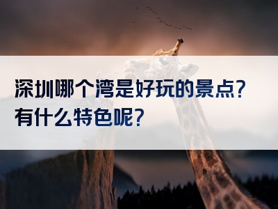 深圳哪个湾是好玩的景点？有什么特色呢？