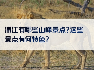 浦江有哪些山峰景点？这些景点有何特色？