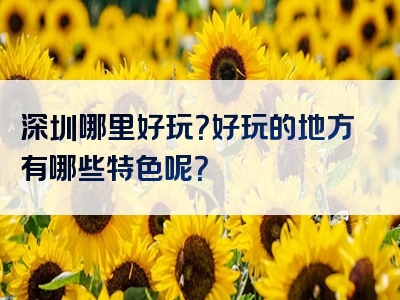 深圳哪里好玩？好玩的地方有哪些特色呢？