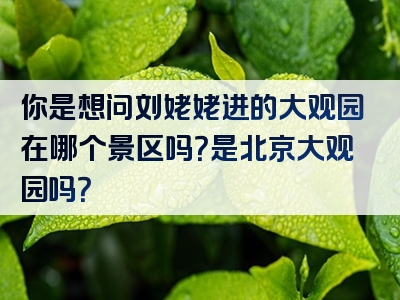 你是想问刘姥姥进的大观园在哪个景区吗？是北京大观园吗？
