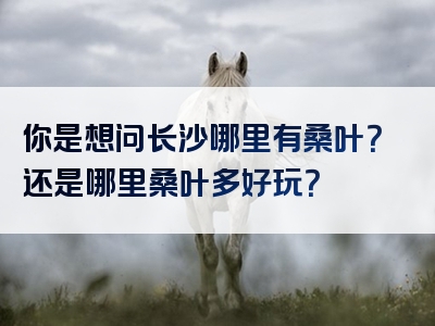 你是想问长沙哪里有桑叶？还是哪里桑叶多好玩？