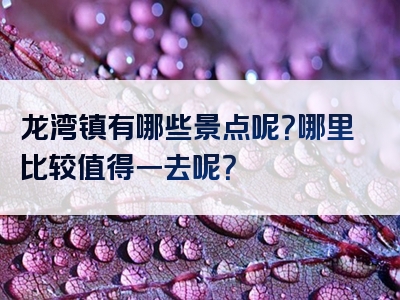 龙湾镇有哪些景点呢？哪里比较值得一去呢？