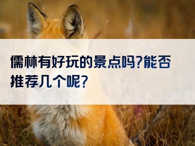 儒林有好玩的景点吗？能否推荐几个呢？
