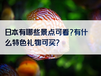 日本有哪些景点可看？有什么特色礼物可买？