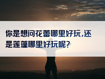 你是想问花蕾哪里好玩，还是莲蓬哪里好玩呢？