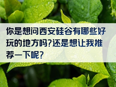 你是想问西安硅谷有哪些好玩的地方吗？还是想让我推荐一下呢？