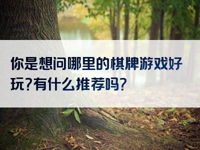你是想问哪里的棋牌游戏好玩？有什么推荐吗？