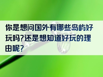 你是想问国外有哪些岛屿好玩吗？还是想知道好玩的理由呢？