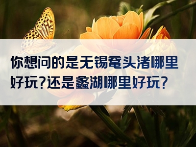 你想问的是无锡鼋头渚哪里好玩？还是蠡湖哪里好玩？