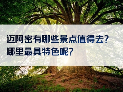 迈阿密有哪些景点值得去？哪里最具特色呢？