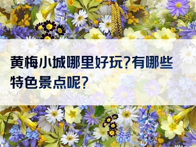 黄梅小城哪里好玩？有哪些特色景点呢？