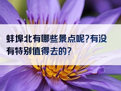 蚌埠北有哪些景点呢？有没有特别值得去的？