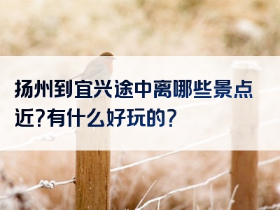 扬州到宜兴途中离哪些景点近？有什么好玩的？