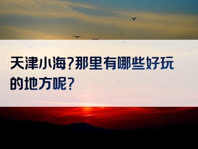 天津小海？那里有哪些好玩的地方呢？