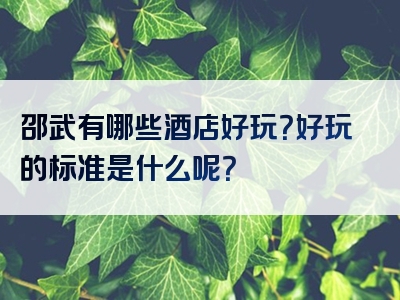 邵武有哪些酒店好玩？好玩的标准是什么呢？