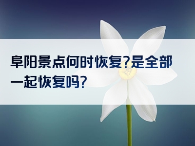 阜阳景点何时恢复？是全部一起恢复吗？