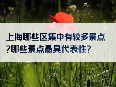 上海哪些区集中有较多景点？哪些景点最具代表性？
