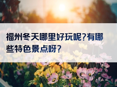 福州冬天哪里好玩呢？有哪些特色景点呀？