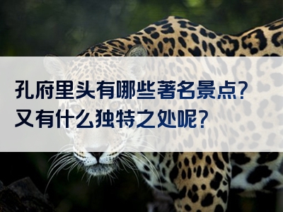 孔府里头有哪些著名景点？又有什么独特之处呢？