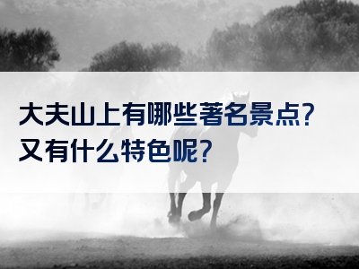 大夫山上有哪些著名景点？又有什么特色呢？