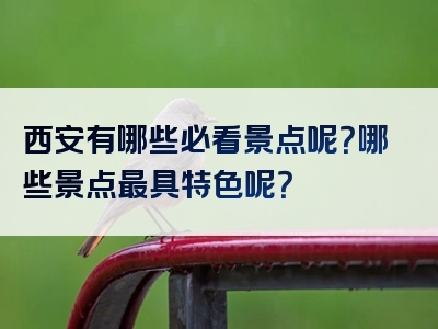 西安有哪些必看景点呢？哪些景点最具特色呢？