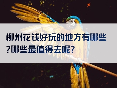 柳州花钱好玩的地方有哪些？哪些最值得去呢？
