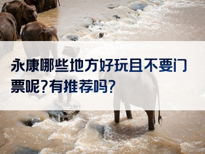 永康哪些地方好玩且不要门票呢？有推荐吗？