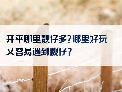 开平哪里靓仔多？哪里好玩又容易遇到靓仔？