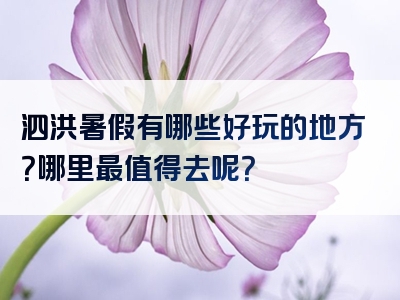 泗洪暑假有哪些好玩的地方？哪里最值得去呢？