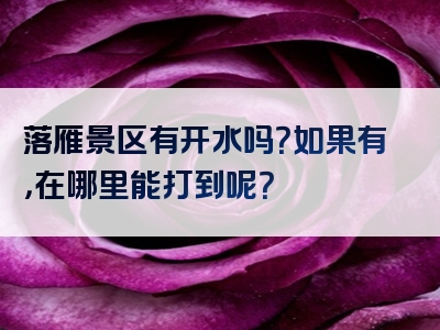 落雁景区有开水吗？如果有，在哪里能打到呢？
