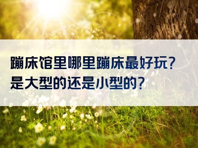 蹦床馆里哪里蹦床最好玩？是大型的还是小型的？