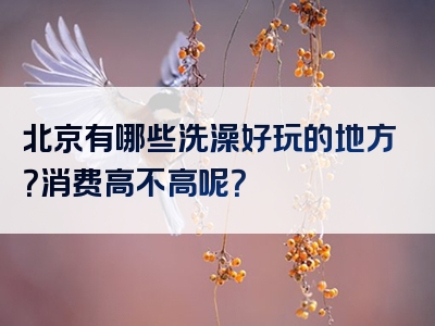 北京有哪些洗澡好玩的地方？消费高不高呢？