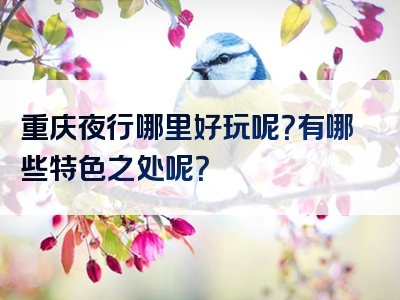 重庆夜行哪里好玩呢？有哪些特色之处呢？