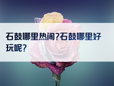 石鼓哪里热闹？石鼓哪里好玩呢？