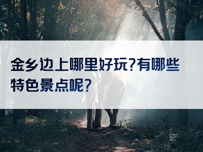 金乡边上哪里好玩？有哪些特色景点呢？