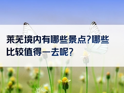 莱芜境内有哪些景点？哪些比较值得一去呢？