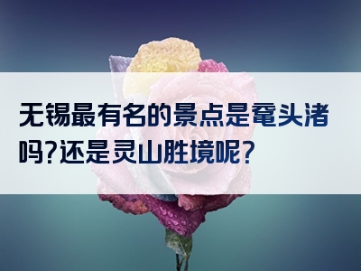 无锡最有名的景点是鼋头渚吗？还是灵山胜境呢？