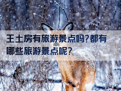 王土房有旅游景点吗？都有哪些旅游景点呢？