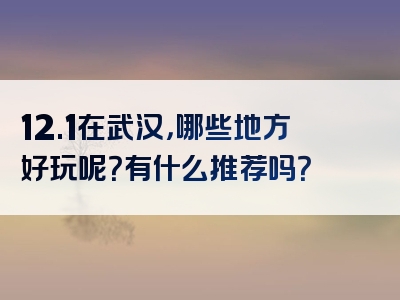 12.1在武汉，哪些地方好玩呢？有什么推荐吗？