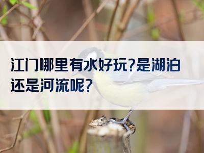 江门哪里有水好玩？是湖泊还是河流呢？