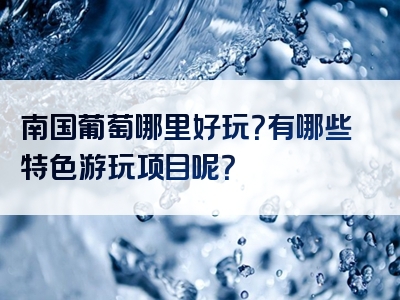 南国葡萄哪里好玩？有哪些特色游玩项目呢？