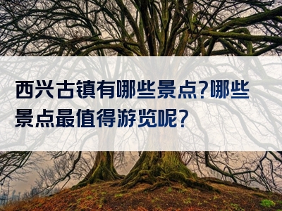 西兴古镇有哪些景点？哪些景点最值得游览呢？
