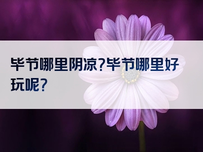 毕节哪里阴凉？毕节哪里好玩呢？