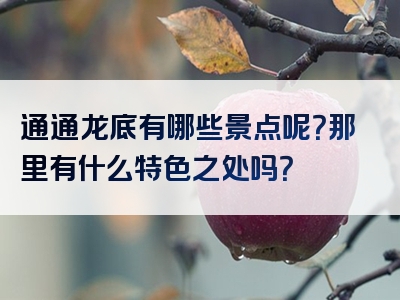 通通龙底有哪些景点呢？那里有什么特色之处吗？