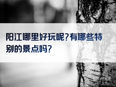 阳江哪里好玩呢？有哪些特别的景点吗？