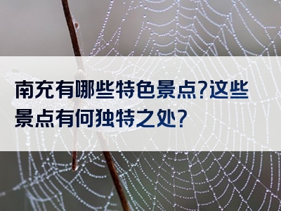 南充有哪些特色景点？这些景点有何独特之处？