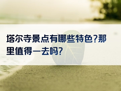 塔尔寺景点有哪些特色？那里值得一去吗？
