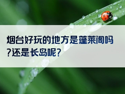烟台好玩的地方是蓬莱阁吗？还是长岛呢？