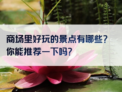 商场里好玩的景点有哪些？你能推荐一下吗？