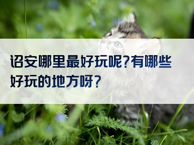 诏安哪里最好玩呢？有哪些好玩的地方呀？